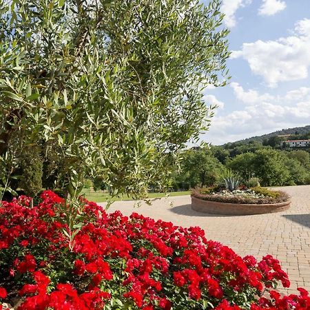 Poggio Pellicciaia Villa Arezzo Exteriör bild